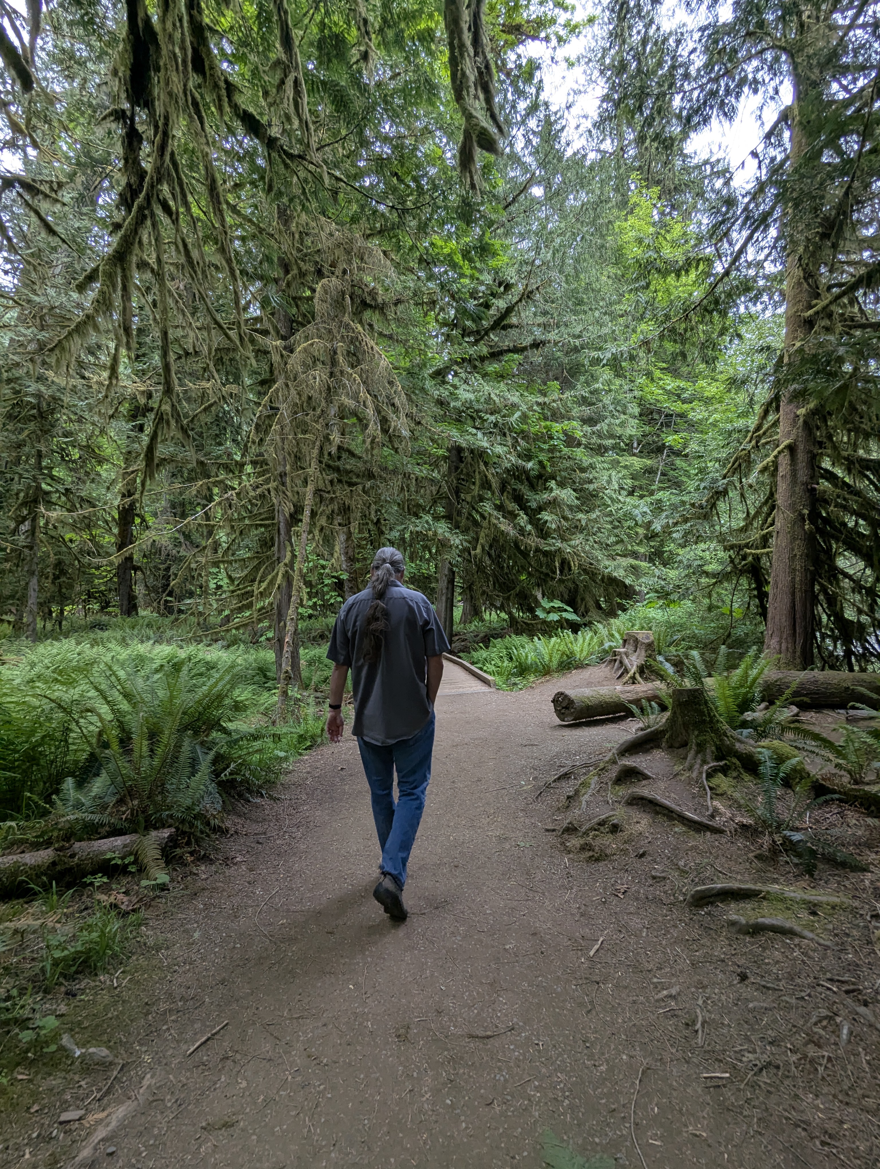 Birthday Trip to Canada, Cathedral Grove, Vancouver Island